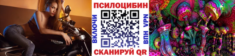 Псилоцибиновые грибы Psilocybe Нея